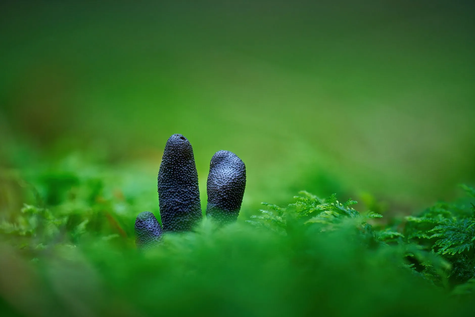 窝聚沈阳科技解析：企业级软件研发中的技术架构设计要点