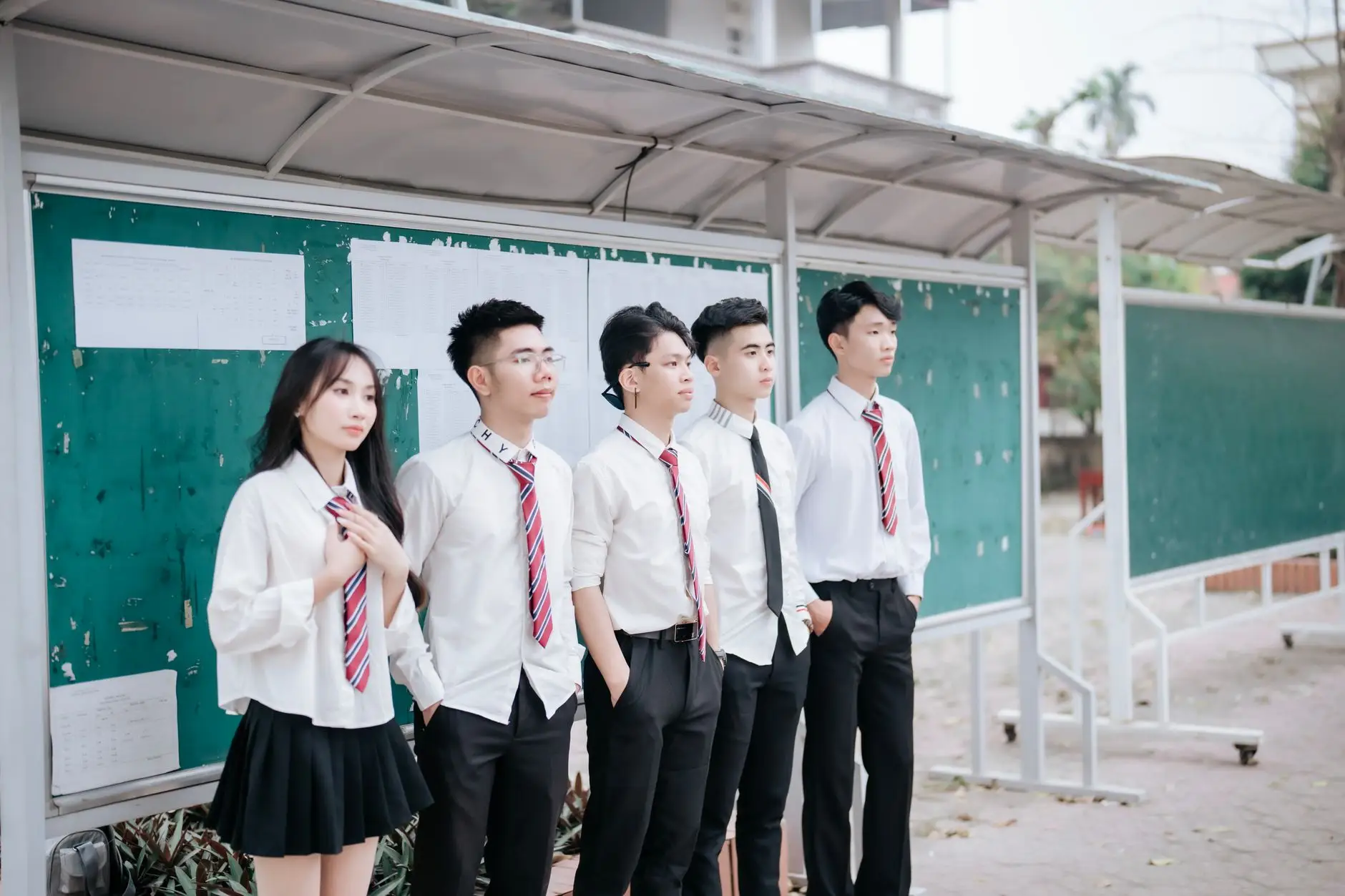 沈阳企业数字化转型方案：窝聚科技定制化软件开发服务详解