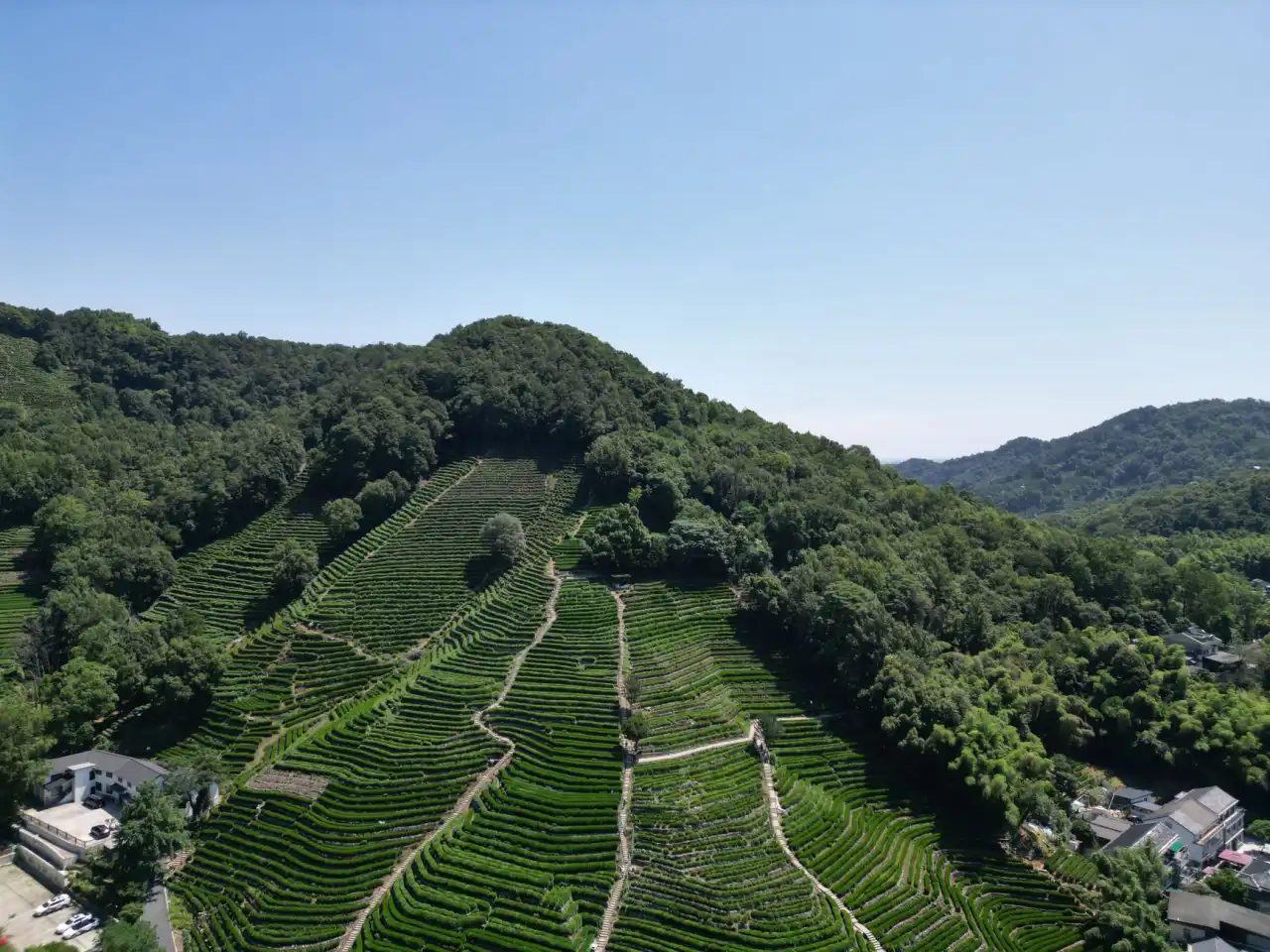 软件开发与技术服务融合趋势：2025年企业级应用方案解析