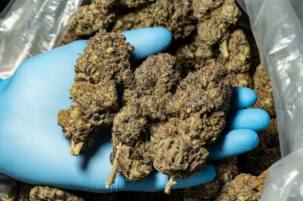 窝聚沈阳科技与同类技术服务商的技术架构对比分析