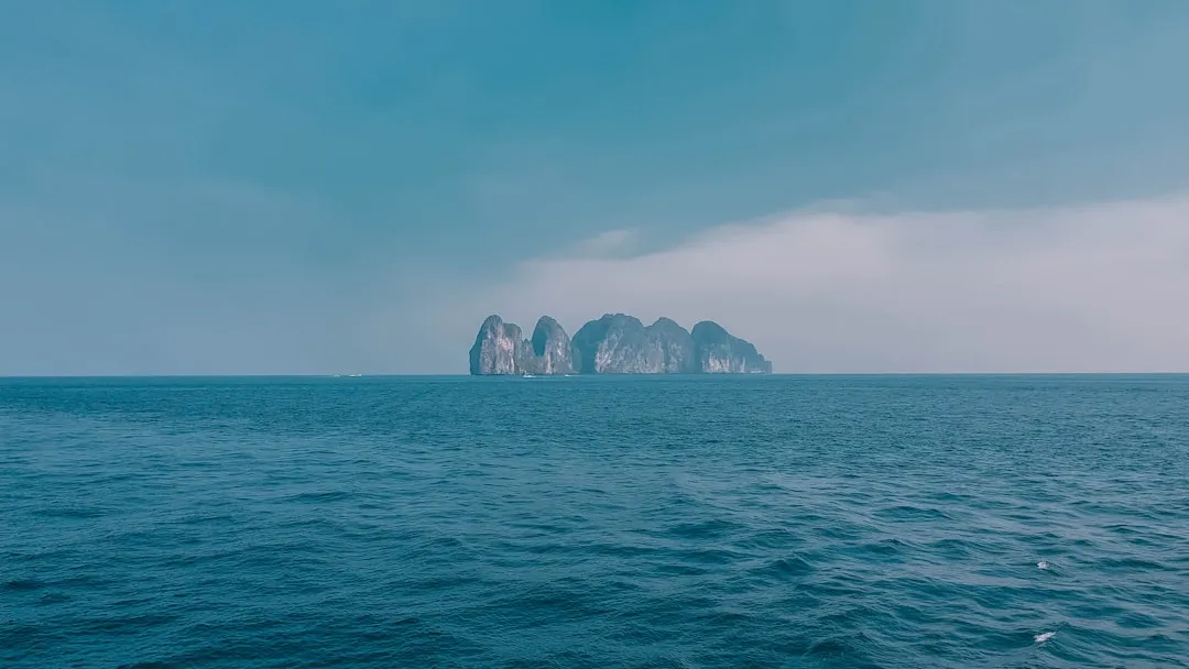 沈阳企业数字化转型：窝聚科技定制化软件开发全流程解析